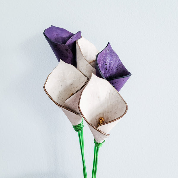 Calla Lily DIY Kit