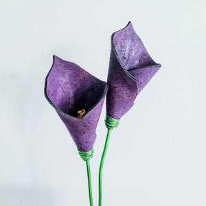 Calla Lily DIY Kit