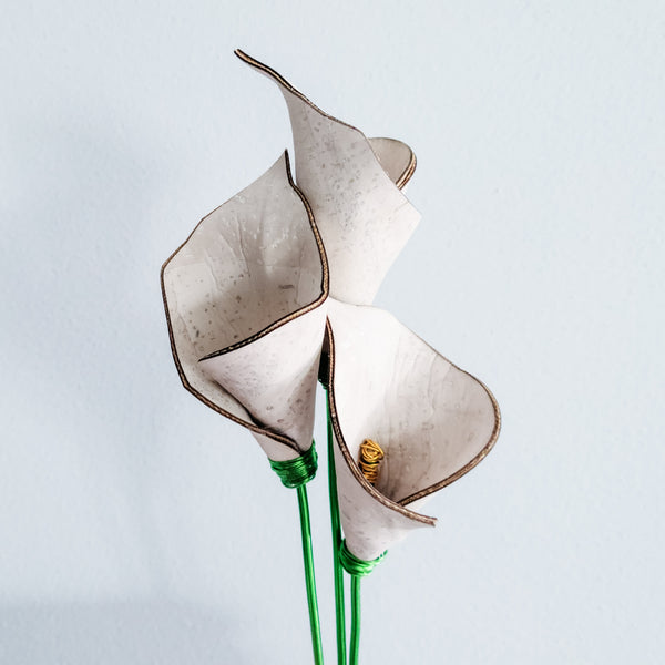 Calla Lily DIY Kit